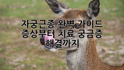 자궁근종 완벽 가이드 💖 증상부터 치료, 궁금증 해결까지!