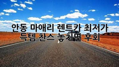 안동 마애리 렌트카 최저가 득템 찬스! 놓치면 후회 😭