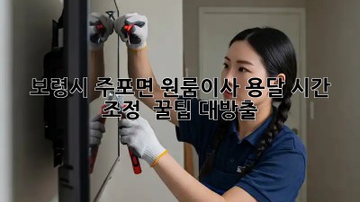 보령시 주포면 원룸이사, 용달 시간 조정 ⏰ 꿀팁 대방출!